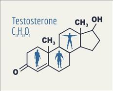 anabolic steroids testosterone builder anavar steroids