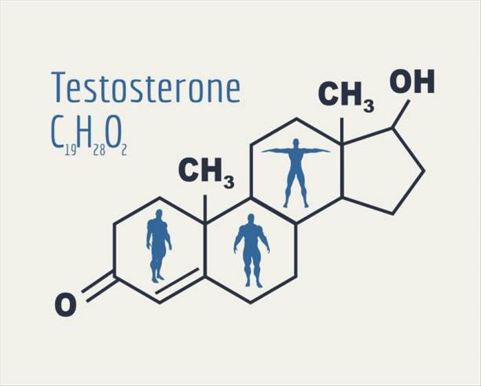 Anabolic Steroids Testosterone Builder Anavar Steroids